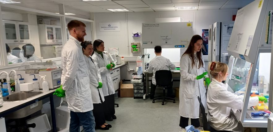 in vitro model training session